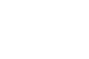 Videoreport2 copy
