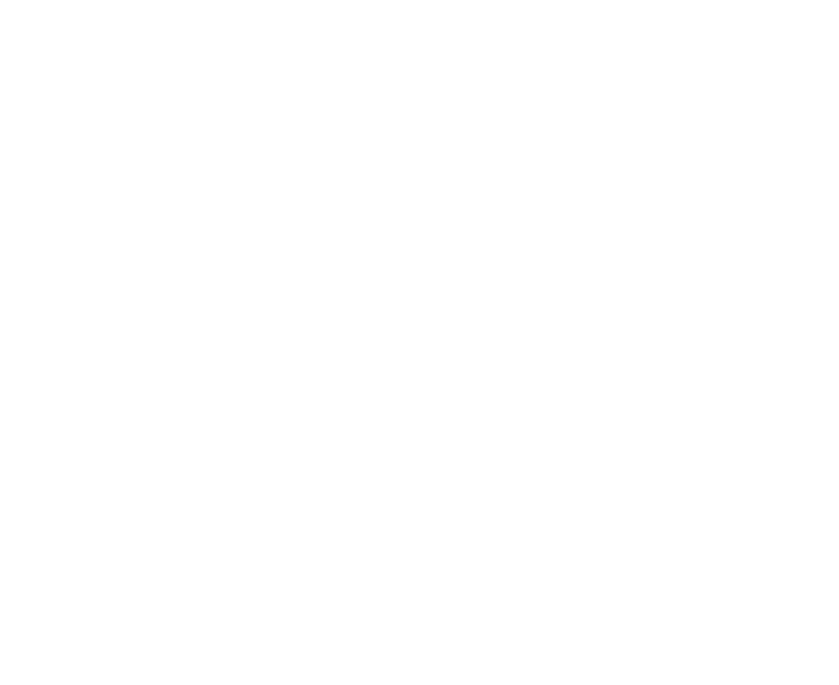 mediapro copy